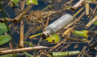 Rethinking Growth to Tackle Global Environmental Crises